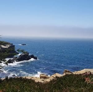 Meet your Posher, Ming